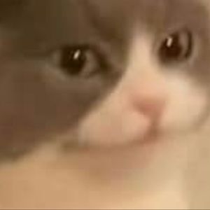 Meet your Posher, Kevin marck